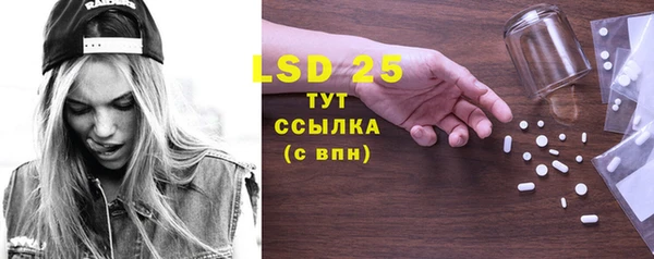трава Корсаков