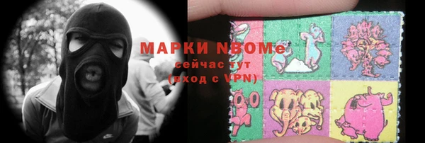 трава Корсаков
