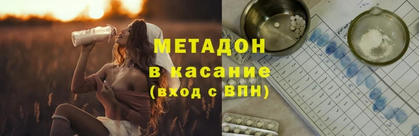 трава Корсаков