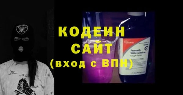 трава Корсаков