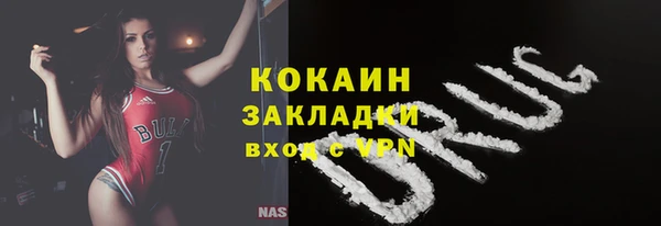 трава Корсаков