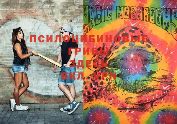 синтетический гашиш Коряжма