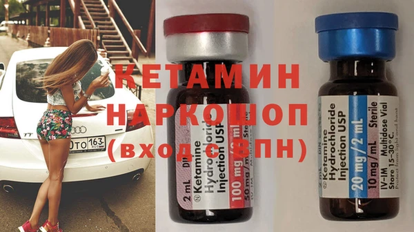 трава Корсаков