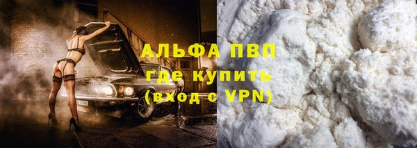 трава Корсаков