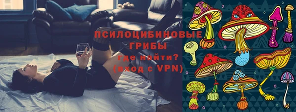 трава Корсаков