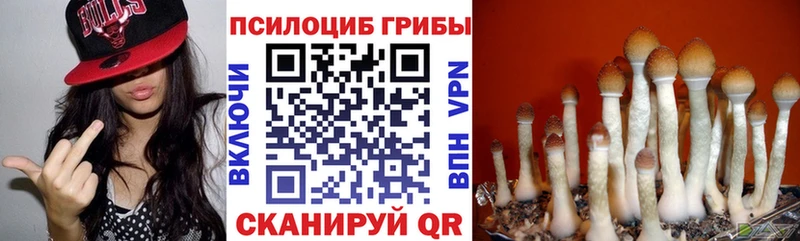 Псилоцибиновые грибы Cubensis Сольвычегодск